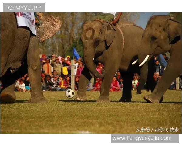 尼泊尔足球场上的搞笑明星名字大揭秘让你捧腹大笑