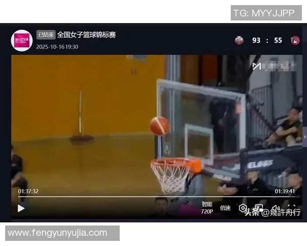 成都排球队个人能力引发热议球迷对选手表现各抒己见