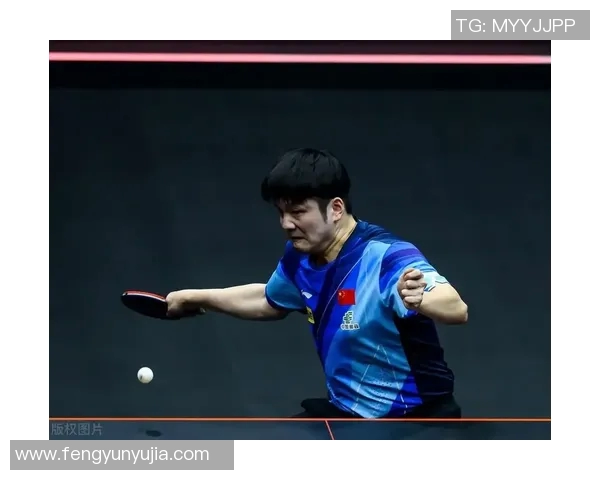 深圳乒乓球队总决赛精彩表现团队协作成就辉煌胜利分析