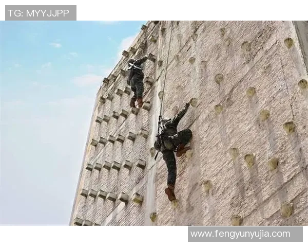 攀岩巨献：深入解析上海攀岩队的训练与竞技状态